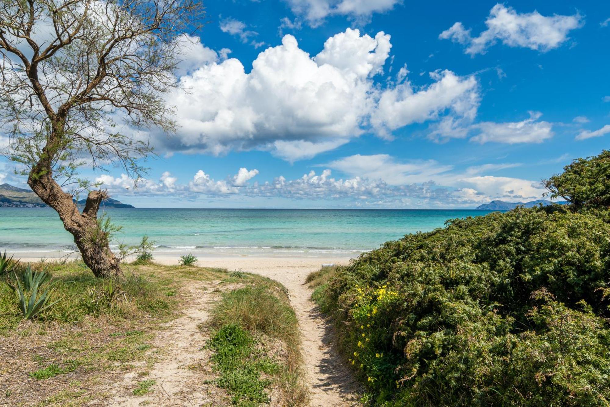 Villa Can Canta Natura Park House At Platja De Muro Beach 外观 照片